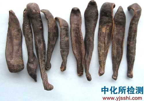水蛭檢測(cè)