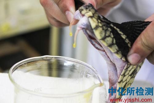 蛇毒檢測(cè)