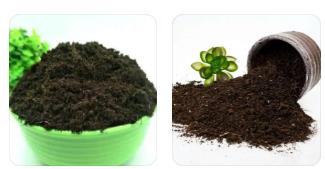 種植土檢測(cè)
